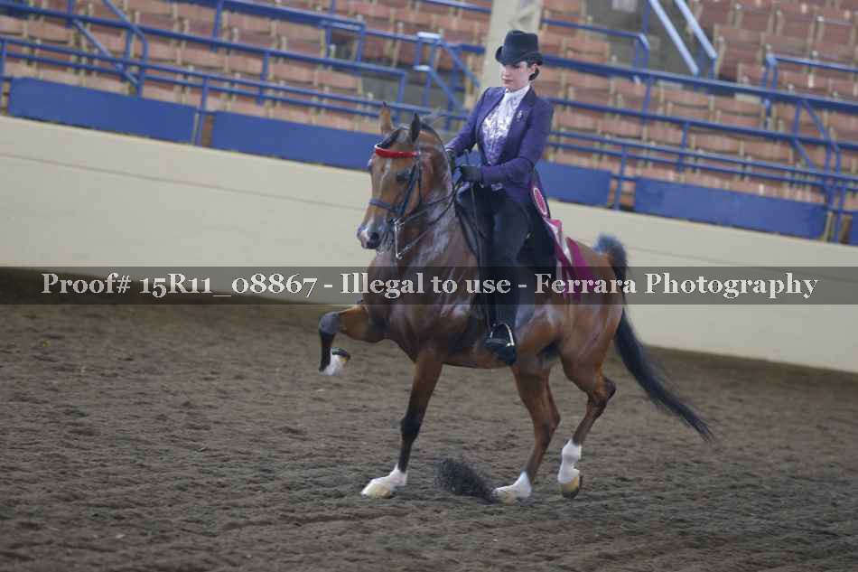 Proof 15R11_08867