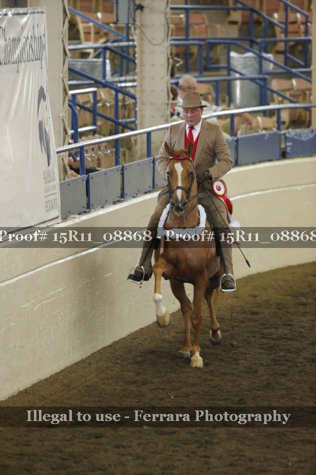 Proof 15R11_08868