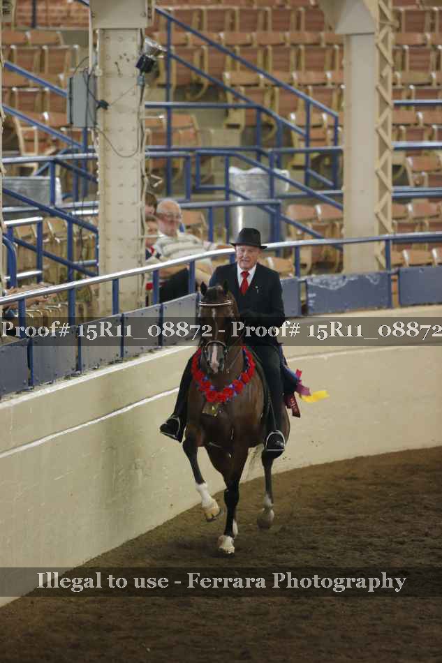 Proof 15R11_08872