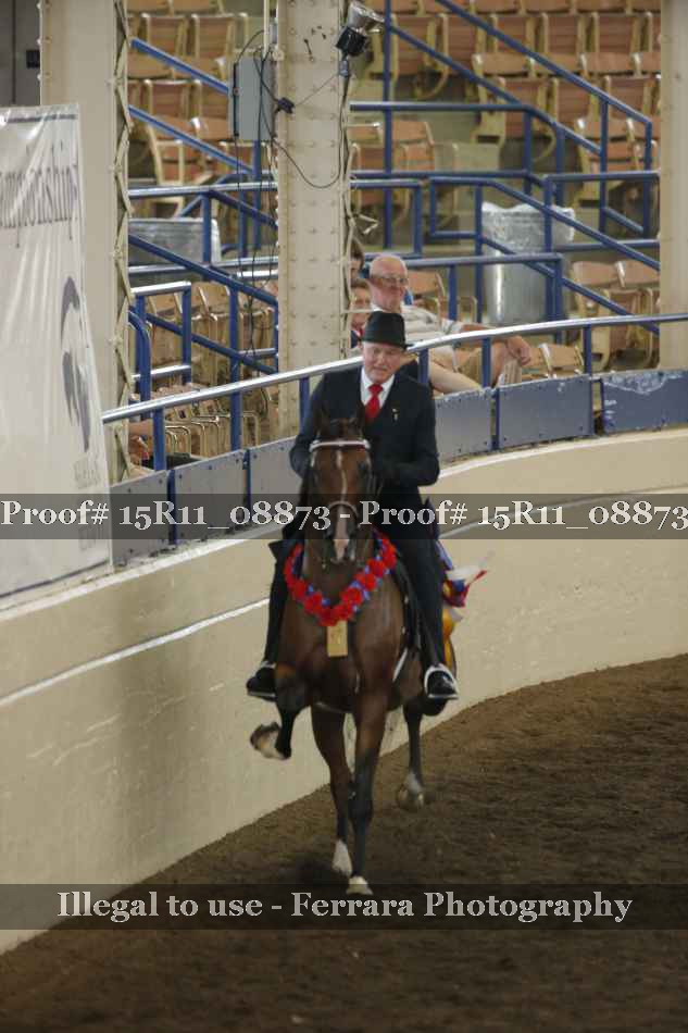Proof 15R11_08873