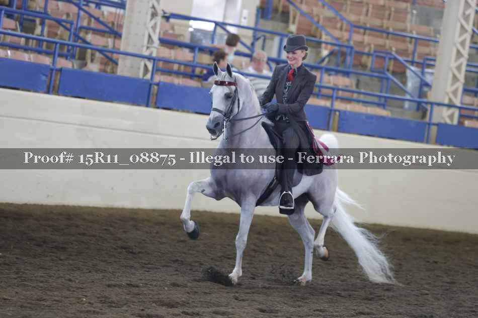Proof 15R11_08875