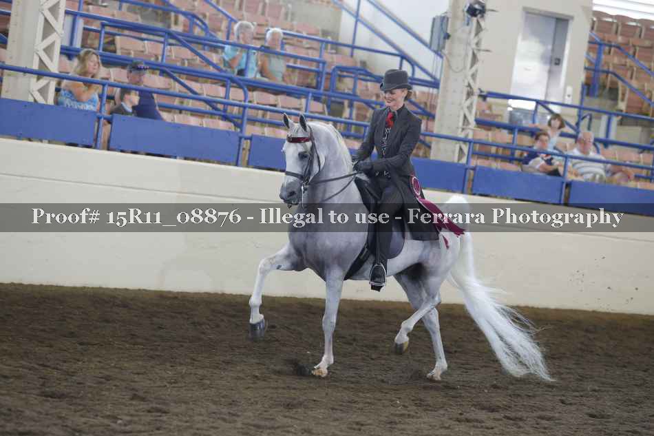 Proof 15R11_08876