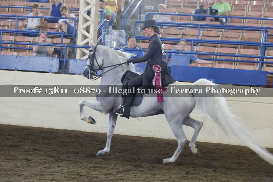 Proof 15R11_08879