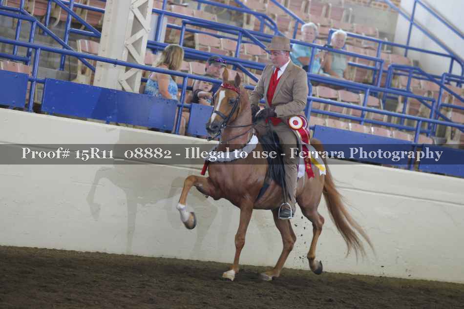 Proof 15R11_08882