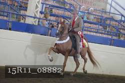 15R11_08882 proof