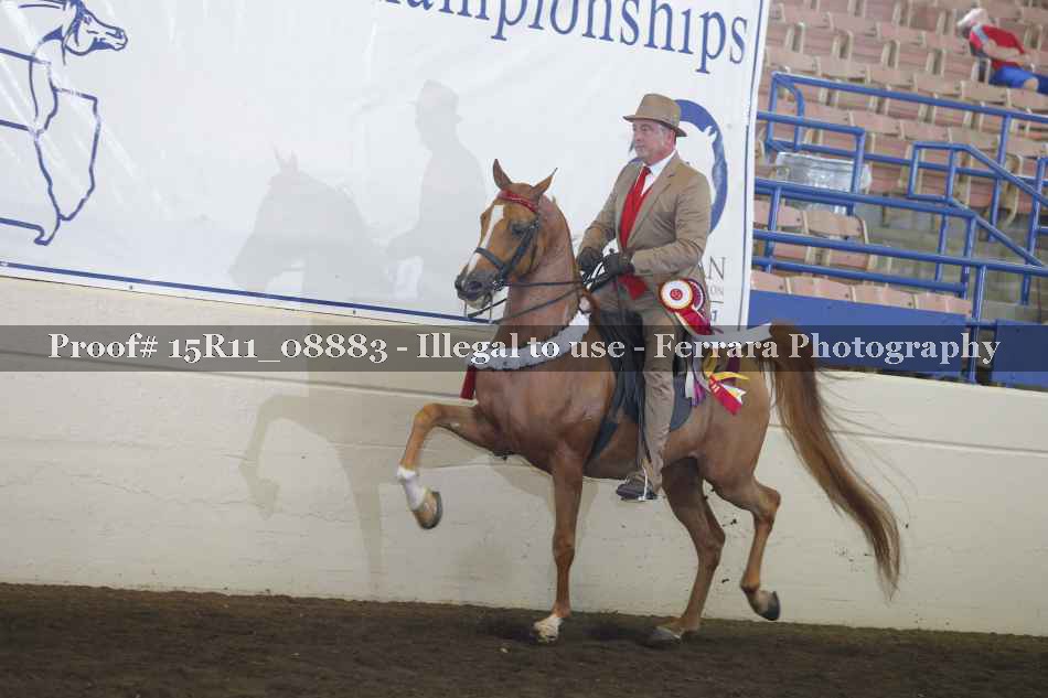 Proof 15R11_08883