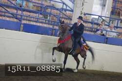 15R11_08885 proof