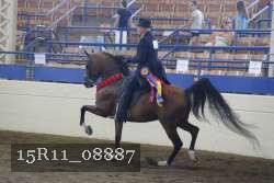 15R11_08887 proof