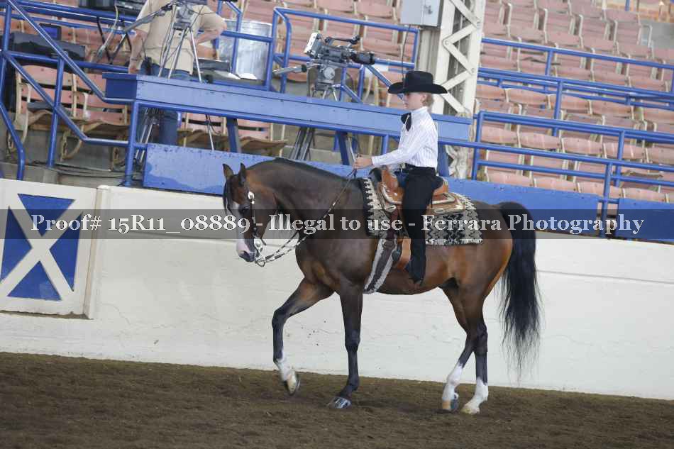 Proof 15R11_08889