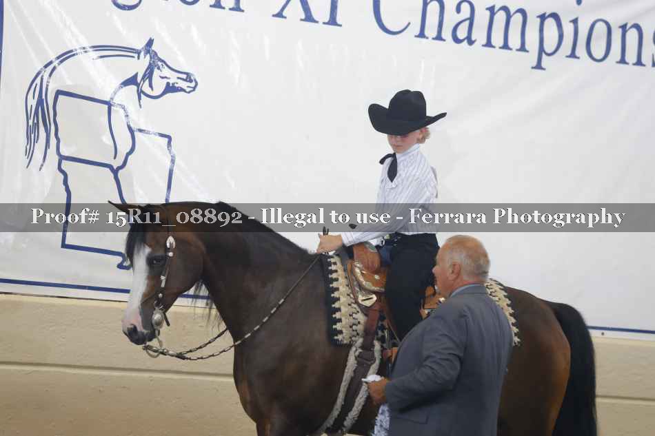 Proof 15R11_08892