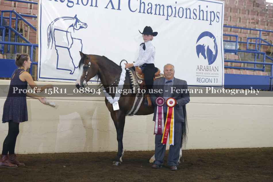 Proof 15R11_08894
