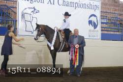15R11_08894 proof