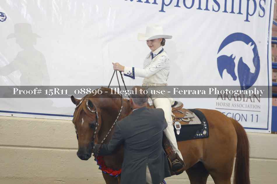 Proof 15R11_08896