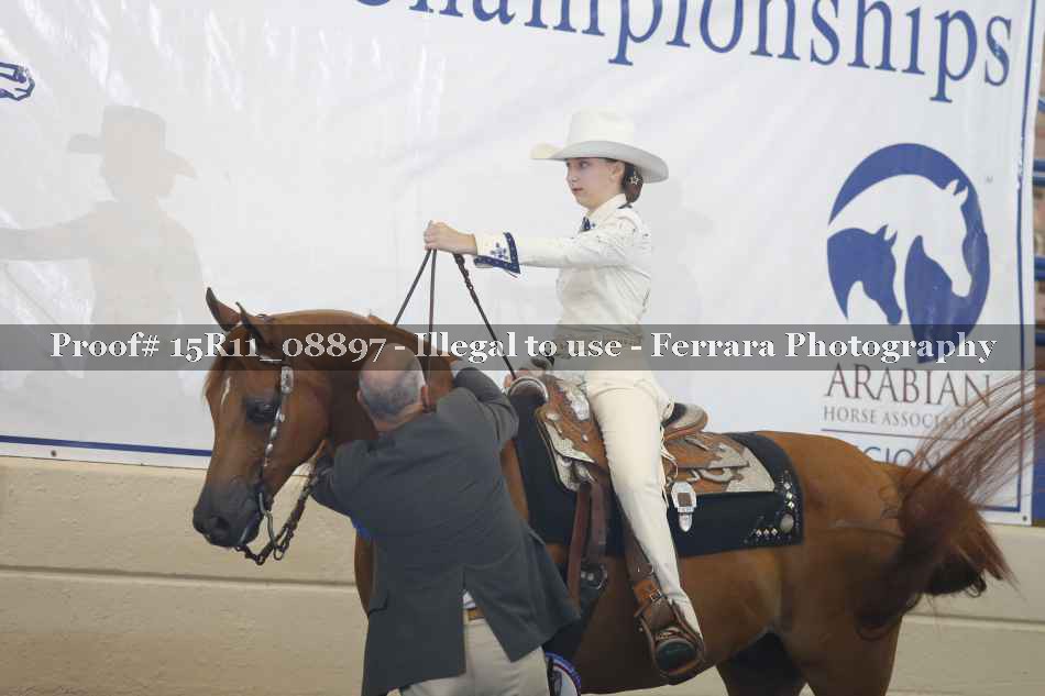 Proof 15R11_08897
