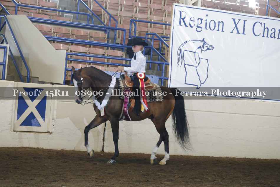 Proof 15R11_08906