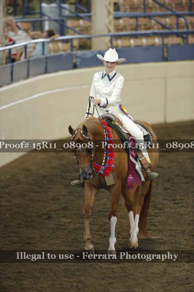 Proof 15R11_08908