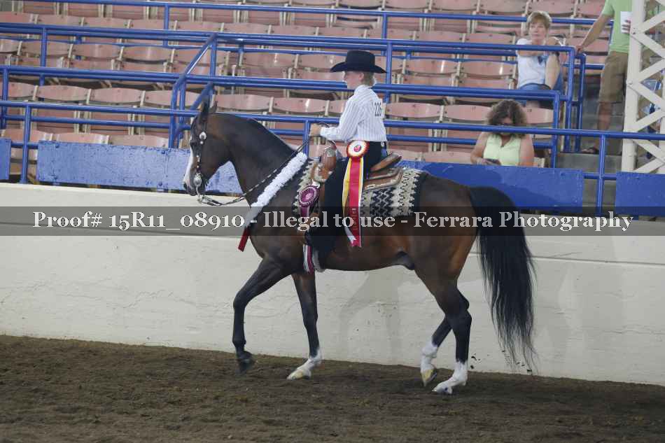 Proof 15R11_08910