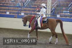 15R11_08918 proof