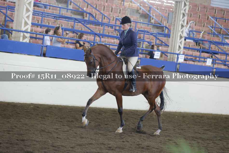 Proof 15R11_08922