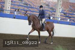 15R11_08922 proof