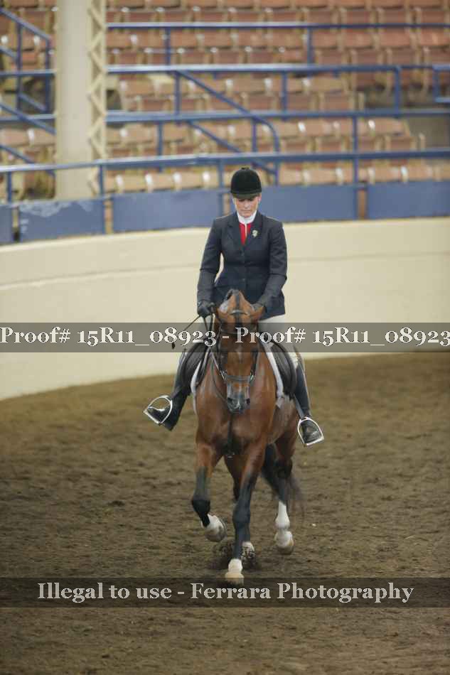 Proof 15R11_08923