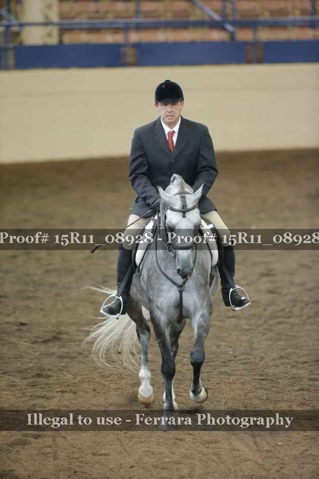 Proof 15R11_08928