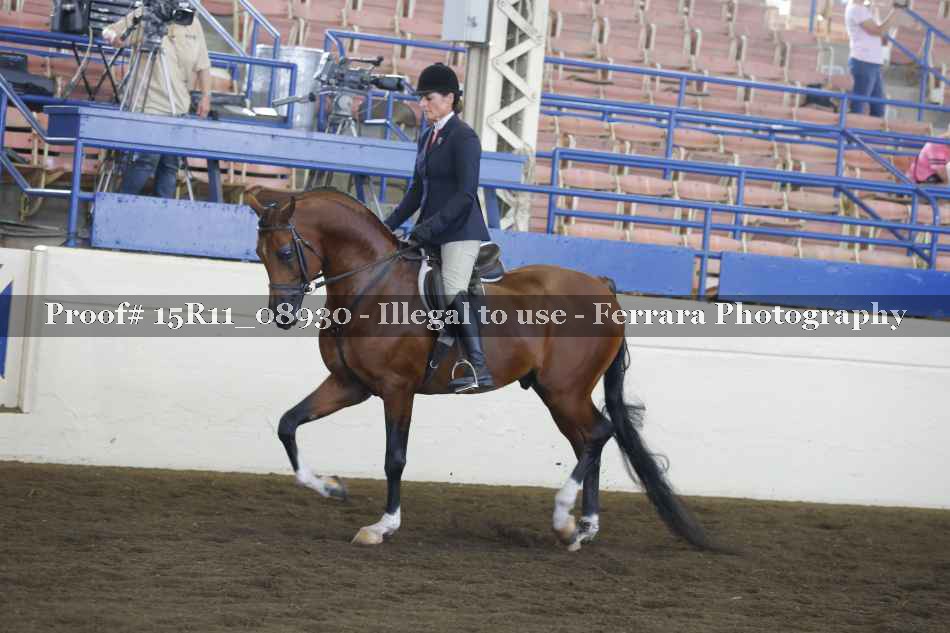 Proof 15R11_08930