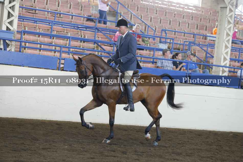 Proof 15R11_08931