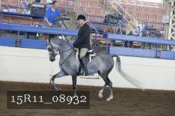 15R11_08932 proof