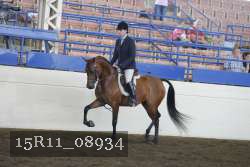 15R11_08934 proof