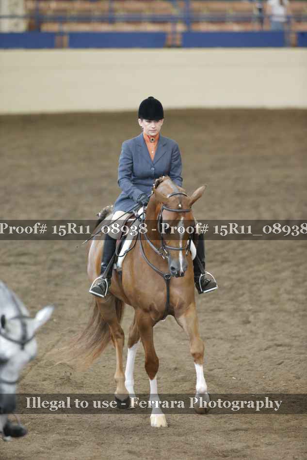 Proof 15R11_08938