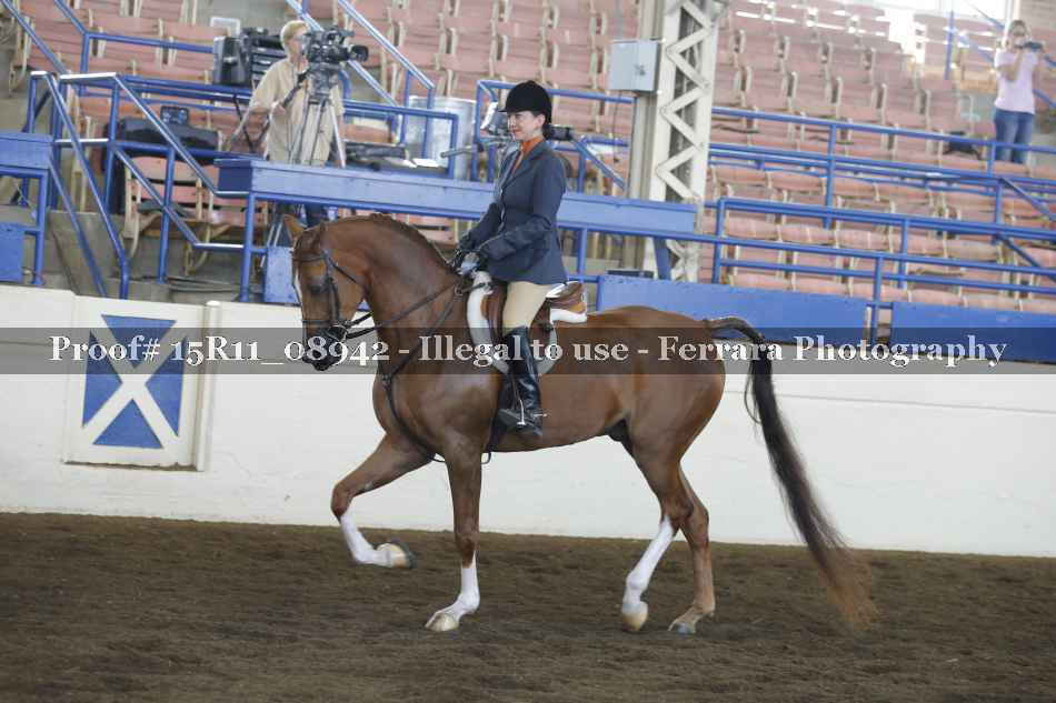 Proof 15R11_08942