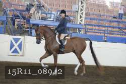15R11_08942 proof