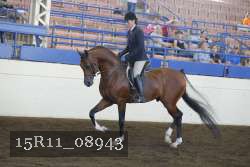 15R11_08943 proof