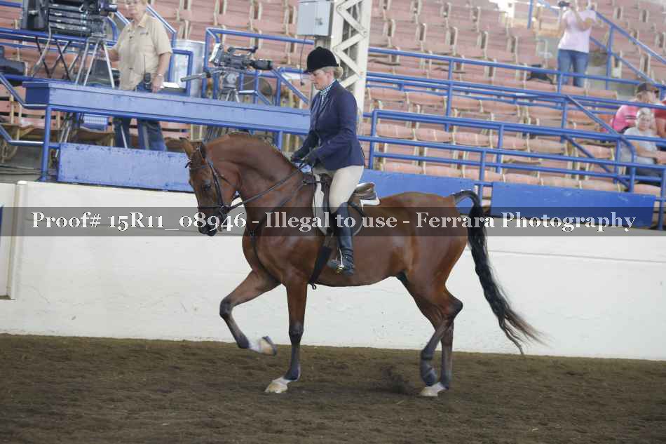 Proof 15R11_08946