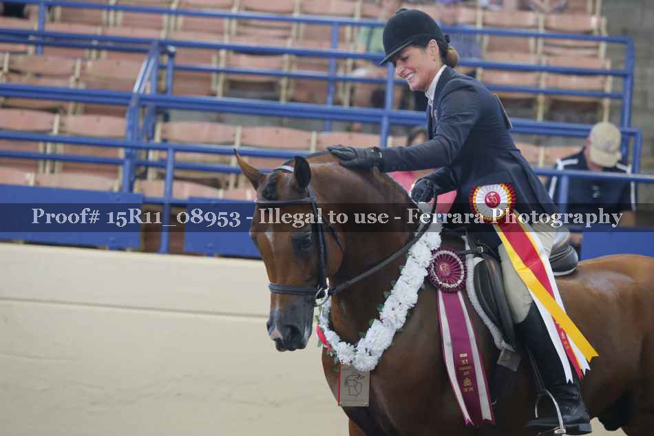 Proof 15R11_08953