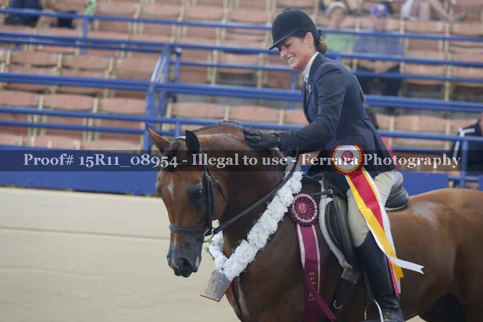 Proof 15R11_08954