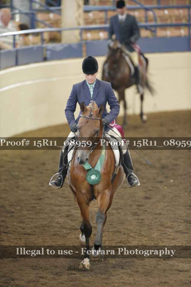 Proof 15R11_08959