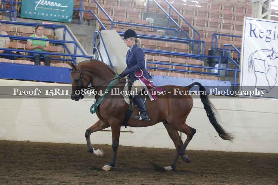Proof 15R11_08964