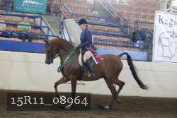 15R11_08964 proof