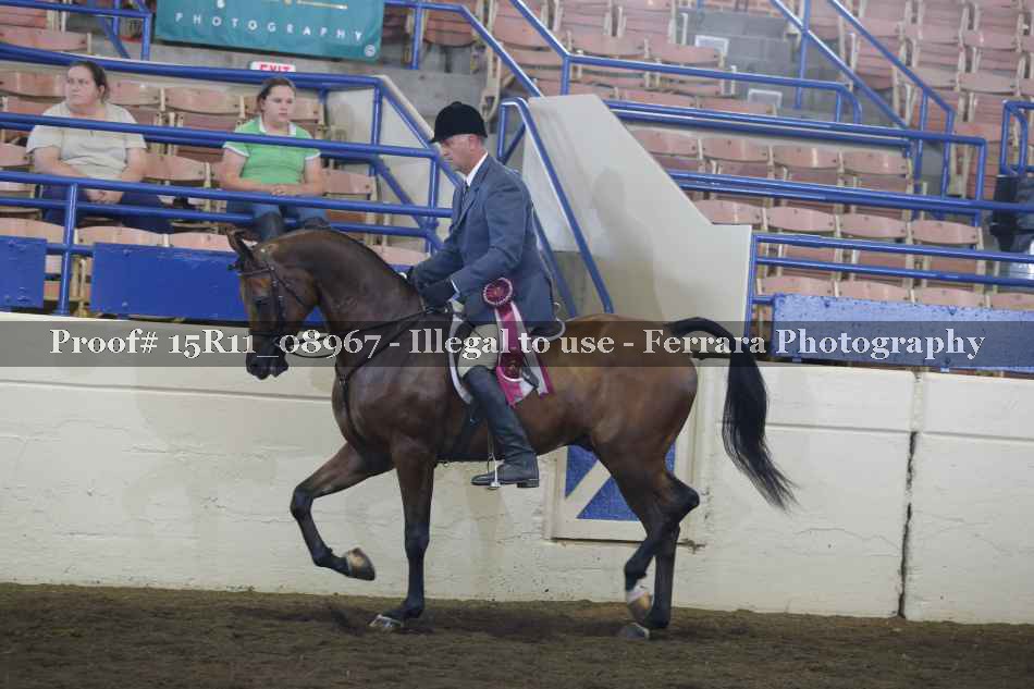 Proof 15R11_08967