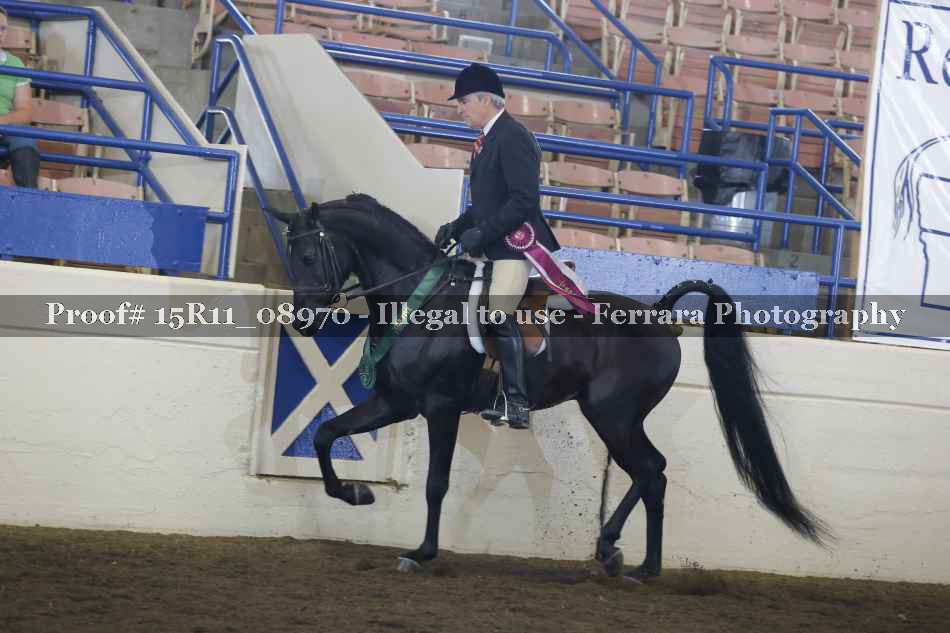Proof 15R11_08970