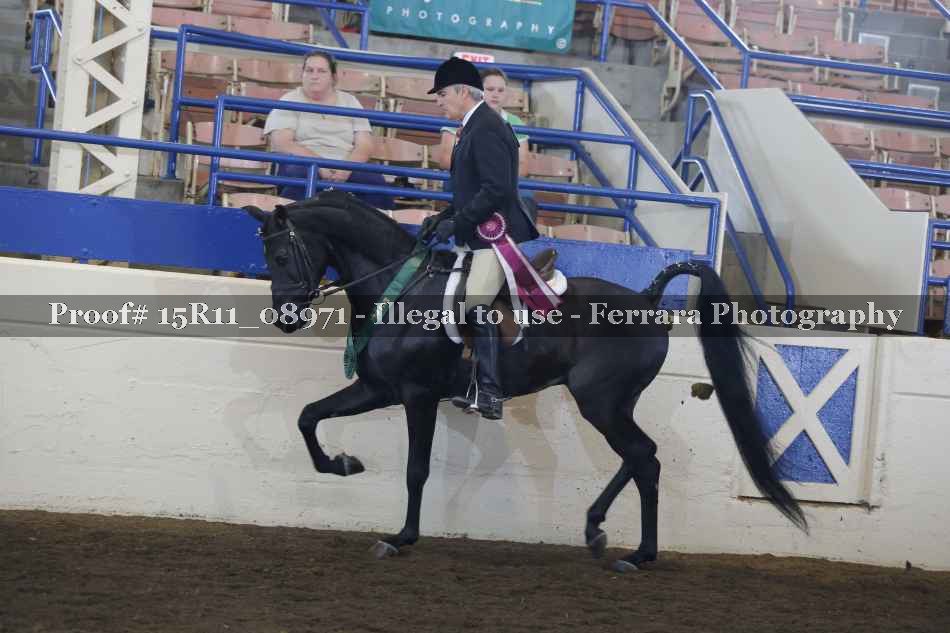 Proof 15R11_08971