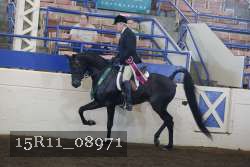 15R11_08971 proof