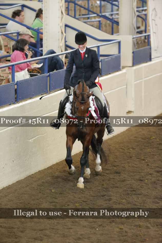 Proof 15R11_08972