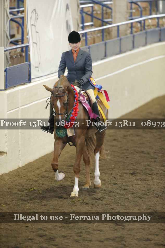 Proof 15R11_08973