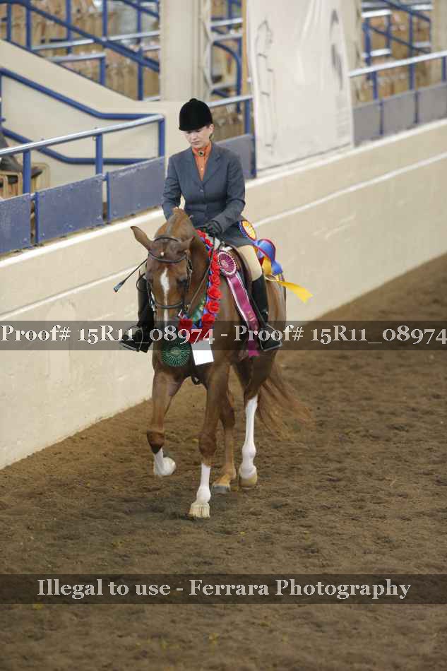 Proof 15R11_08974