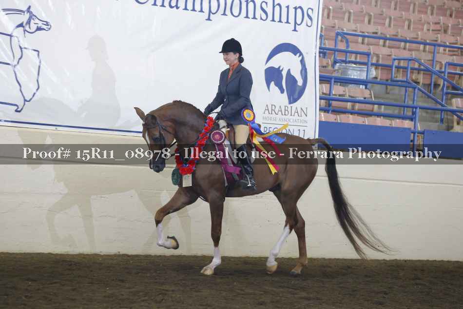 Proof 15R11_08978