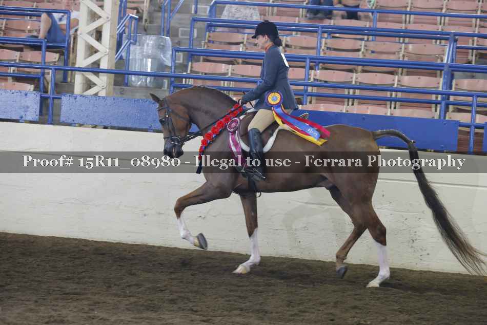 Proof 15R11_08980