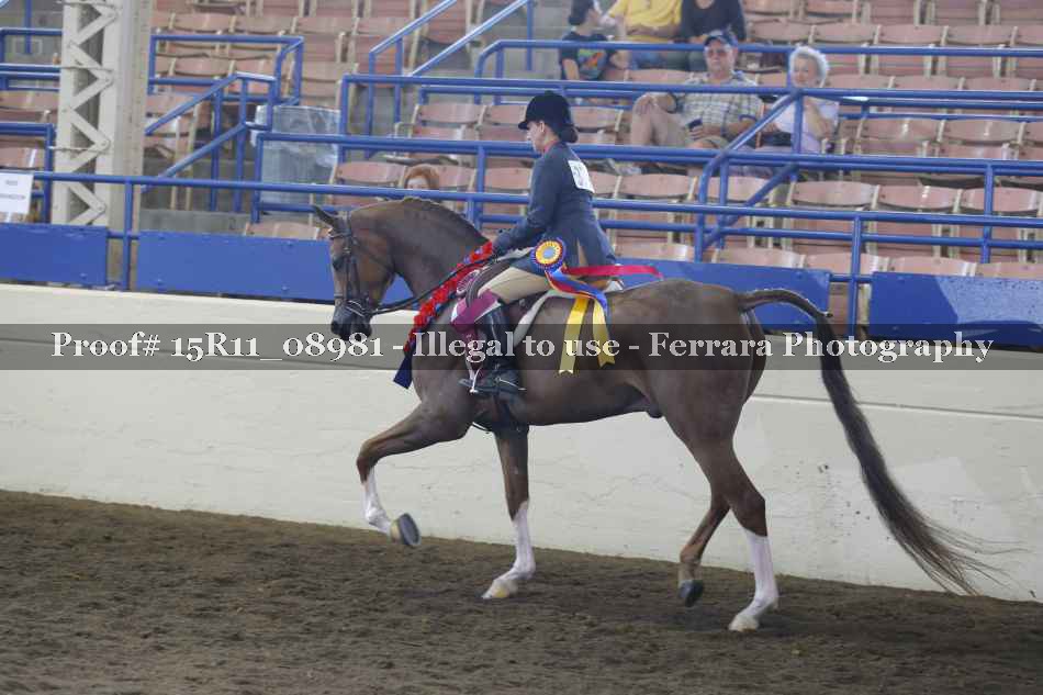 Proof 15R11_08981